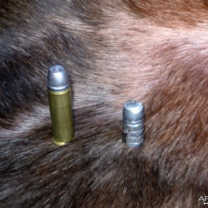 Handgun bullet retrieved from Buffalo - Freedom Arms (FA) mod. 83, 7,5 &quo
