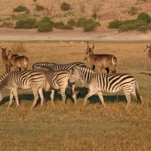 Classic Safaris in Caprivi Namibia