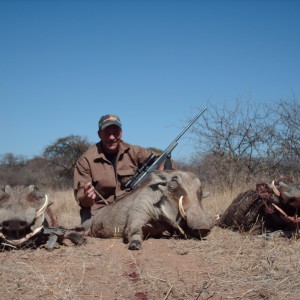 Warthogs Limpopo 2007
