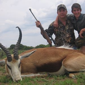 Common Springbok