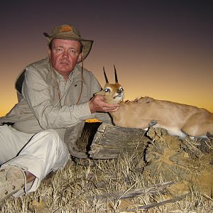 Steenbok