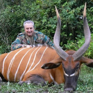 Bongo Hunt in C.A.R.