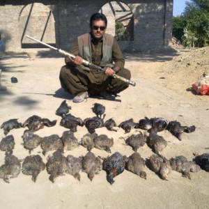 My son with partridges & ducks