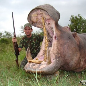 Hippo hunt with Leeukop Safaris