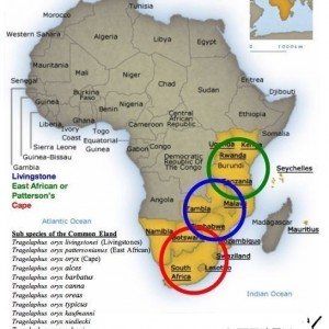 Map of Eland species