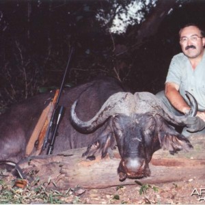 Buffalo Hunting in Mozambique