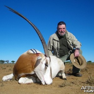 Scimitar-horned Oryx - hunted in South Africa