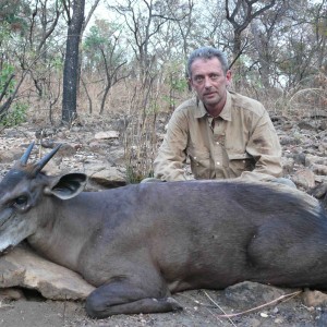 Yellow Back Duiker hunted in CAR with Safaria