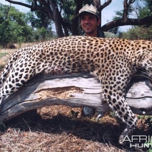 Leopard Hunting over a Pack of Trained Dogs in Mozambique