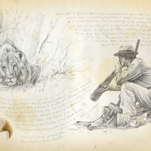 Wildlife Artist Marcello Pettineo - Lion Calling