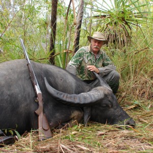 Asiatic buffalo bull, Arnhemland, Australia