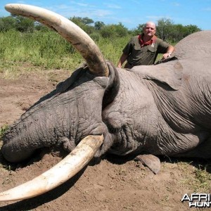 104 & 99 pound tusker taken with Johan Calitz Safaris in Botswana