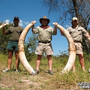 104 & 60 pound tuskers - Johan Calitz Safaris - PH Willy McDonald