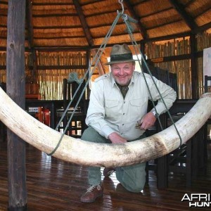78 pound tusker - Johan Calitz Safaris in Botswana