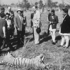 Hunting Tiger - India 1935