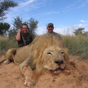 My first Lion - South Africa