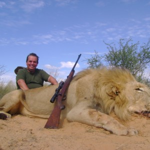 Lion hunted in South Africa