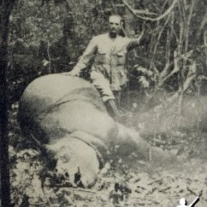 Rhinoceros Hunt India