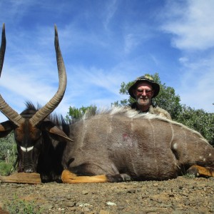 Nyala