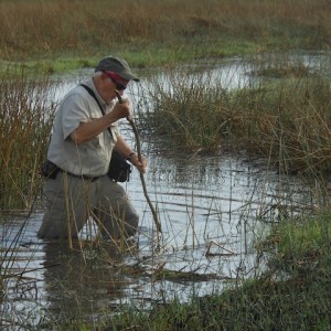 Sitatunga Hunting