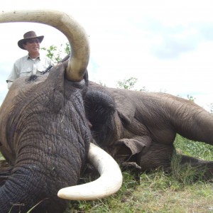 Excellent greater Kruger Elephant Bull, Spear Safaris