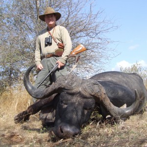 Greater Kruger Buffalo Bull, Spear Safaris