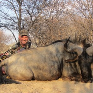 Blue wildebeest - Namibia