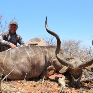 Kudu bull - 54" -Namibia