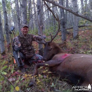 2015 elk hunt in Alberta, Canada
