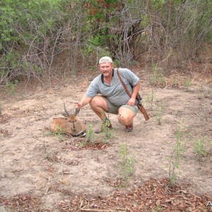 Bushbuck