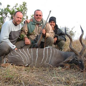 lesser kudu Tanzania