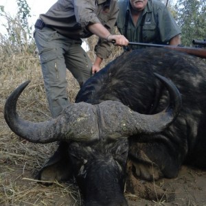 Buffalo Zimbabwe - my son Louis