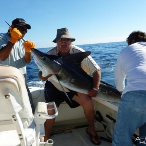 Striped marlin - Cabo, Mexico