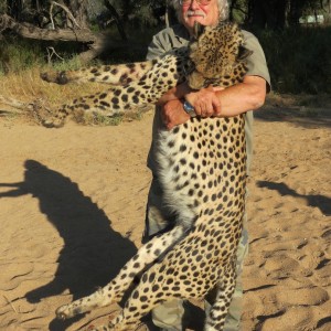 Cheetah - Namibia
