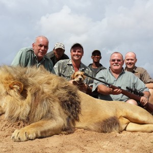 Kalahari lion team foto