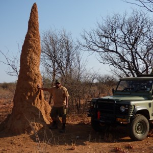 Termite mount