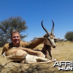 Springbok 14 1/4 inches