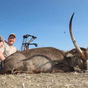 Waterbuck