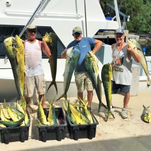 Good day on the Mahi, Florida Keys