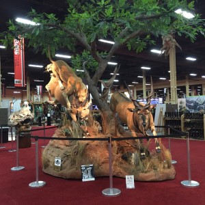 Taxidermy at Safari Club International Convention