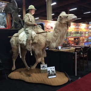 Taxidermy at Safari Club International Convention