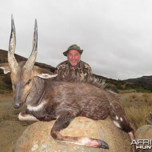 Bushbuck