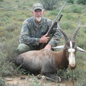 Blesbok