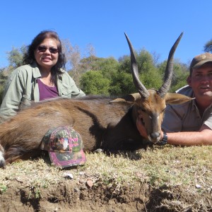 Bushbuck hunted with Limcroma Safaris