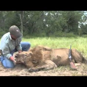 Hunting Lion with Bullet Safaris & Nathan Askew