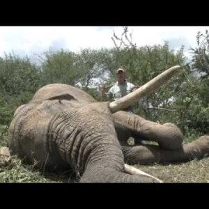 Hunting Elephant with Bullet Safaris & Nathan Askew