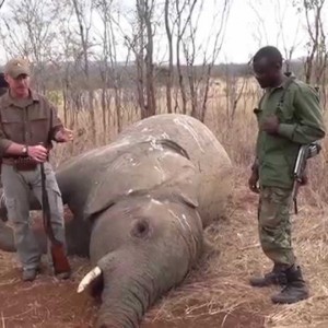 Why hunting is needed to save animal poplulations in Africa