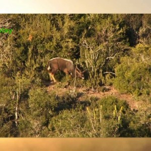 KMG Hunting Safaris Promo Video