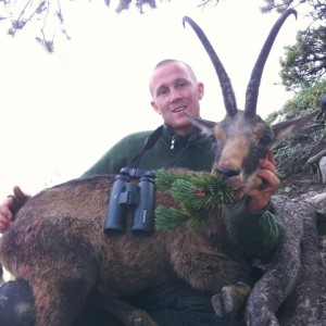 Alpine chamois hunting with Ovini Expéditions