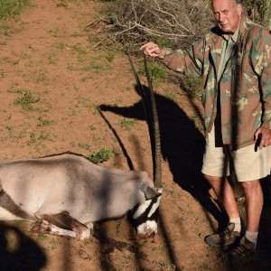 Gemsbok